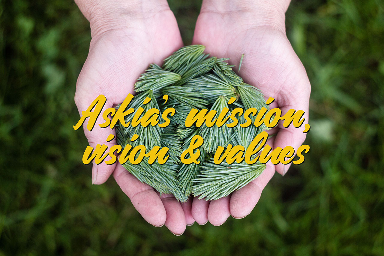 Askia's mission, vision and values header image