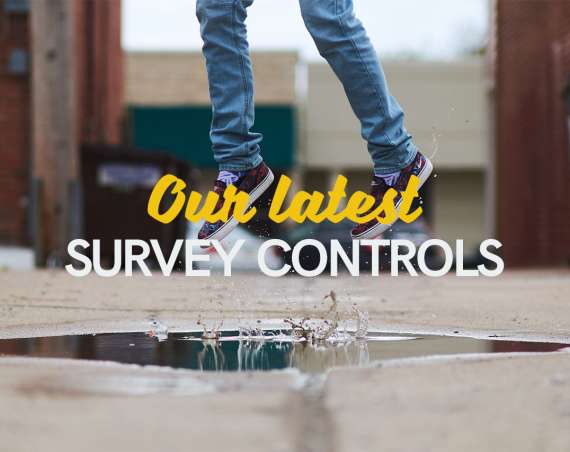 Our latest survey controls header image