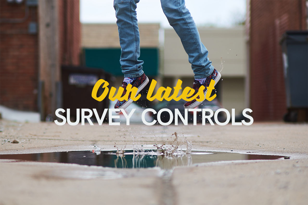 Our latest survey controls header image