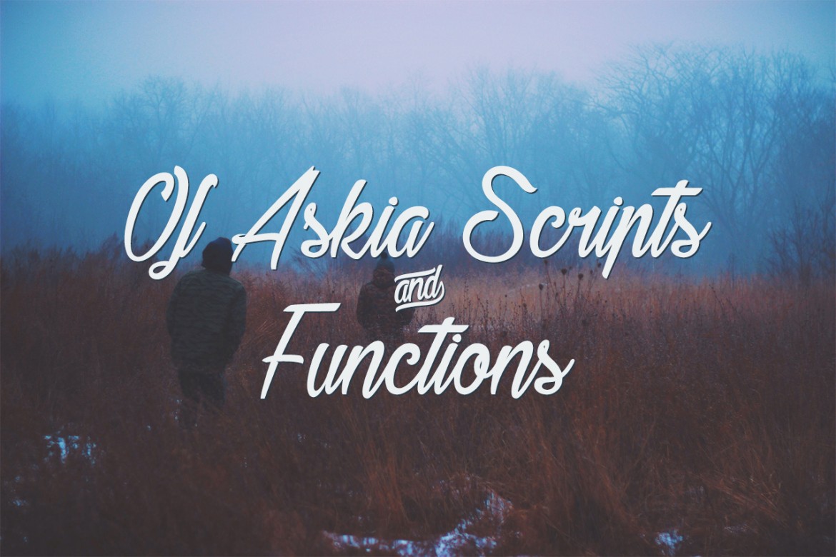 Of Askia Scripts and Functions