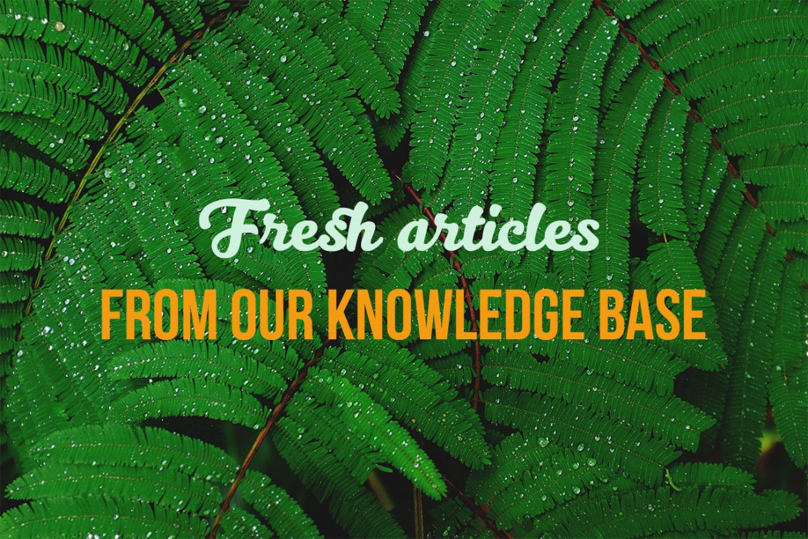 Fresh articles from our knowledge base